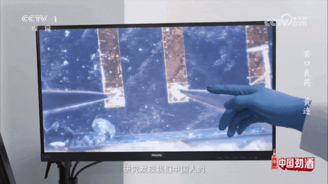 1734932819382632.gif
