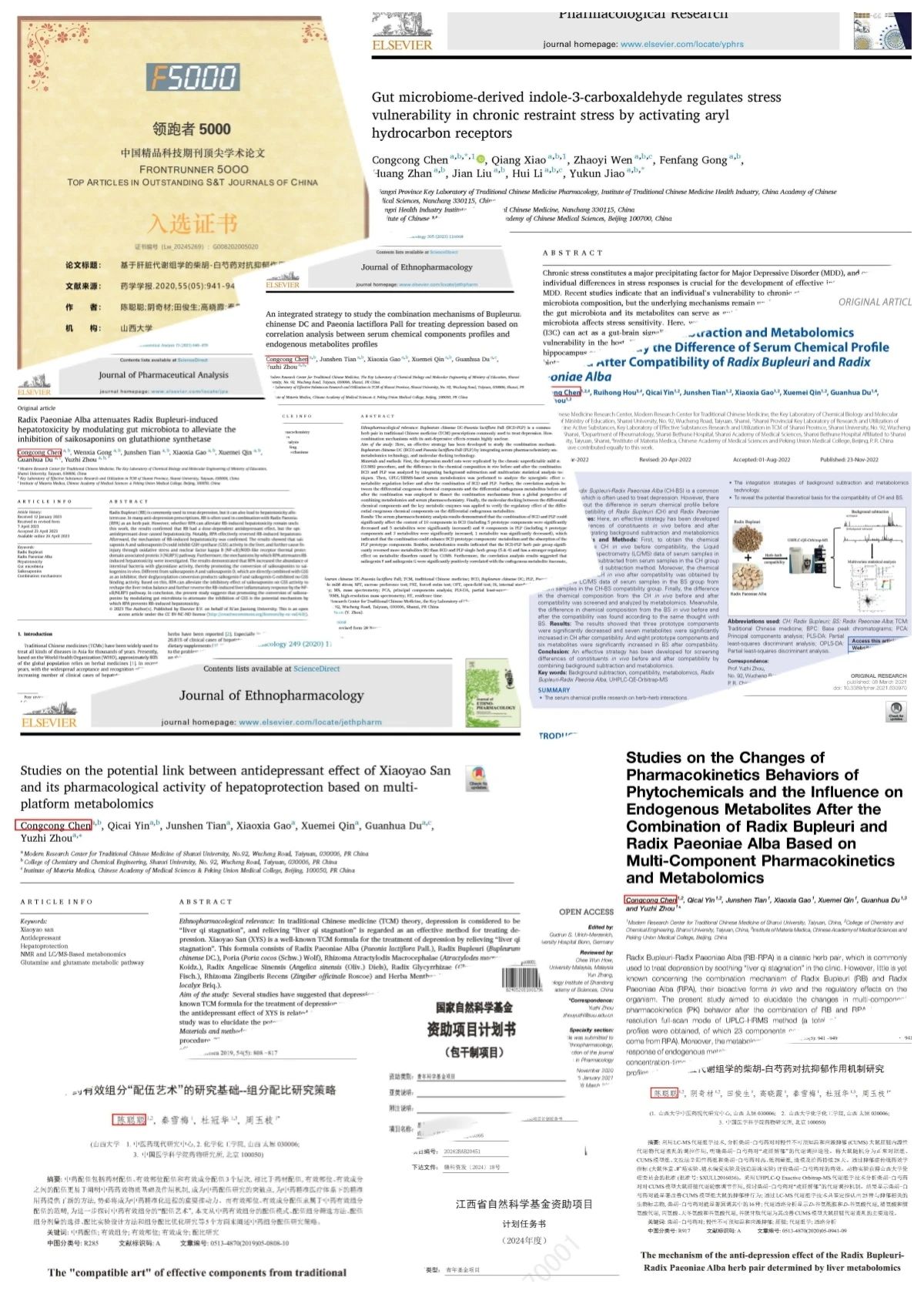 1743598255443658.jpg