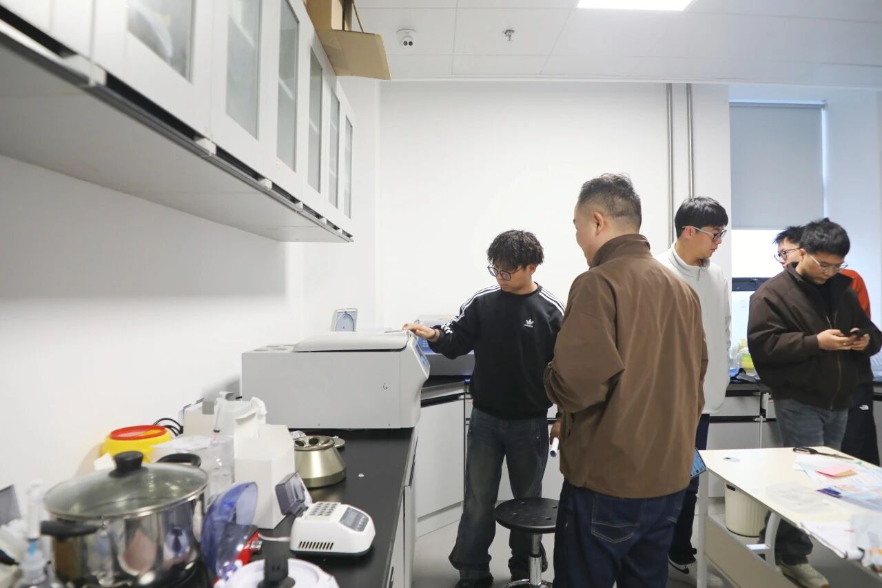 1774494994711655.jpg 1774494994711655.jpg