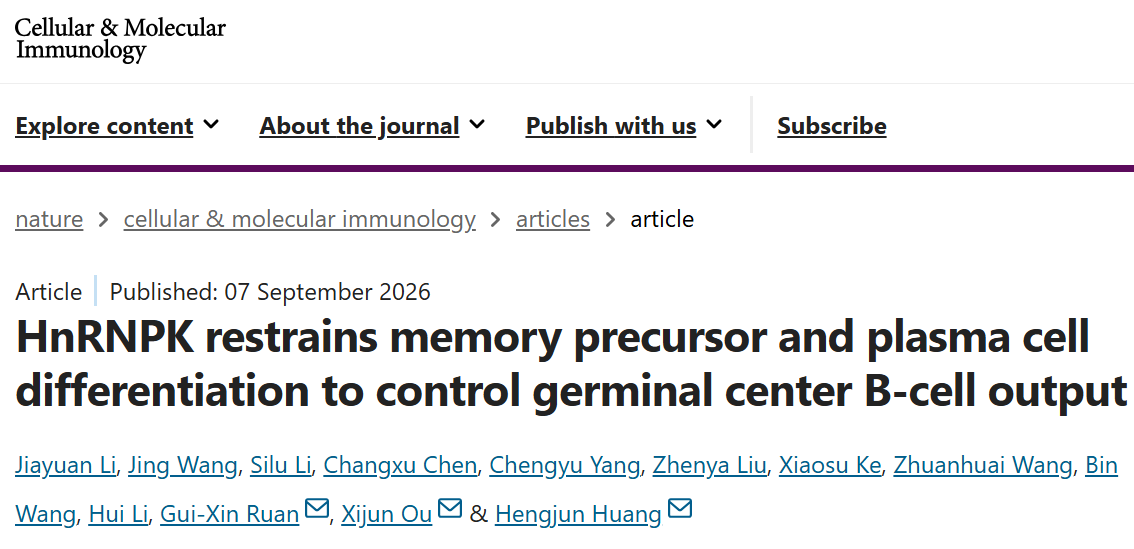 Cell Mol Immunol丨健康所黄恒军团队揭示hnRNPK调控生发中心B细胞命运抉择的转录与代谢双重机制